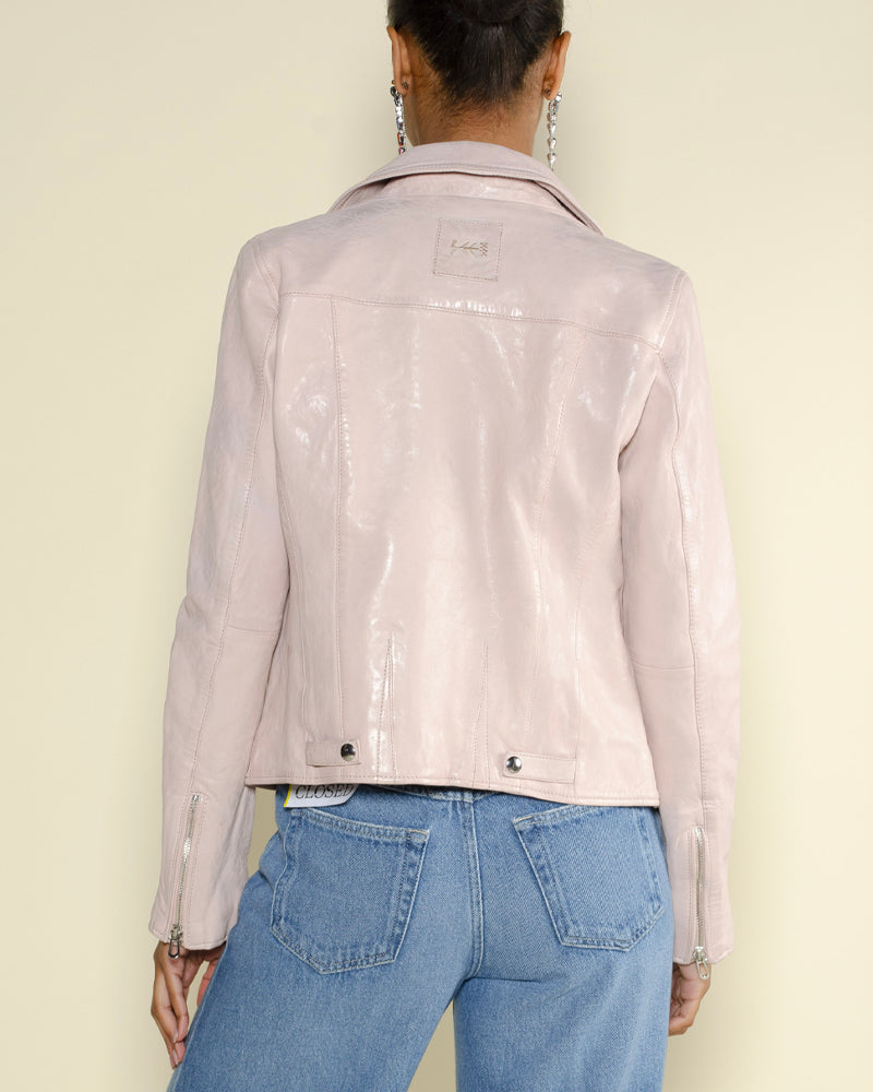 Perfecto rose garden