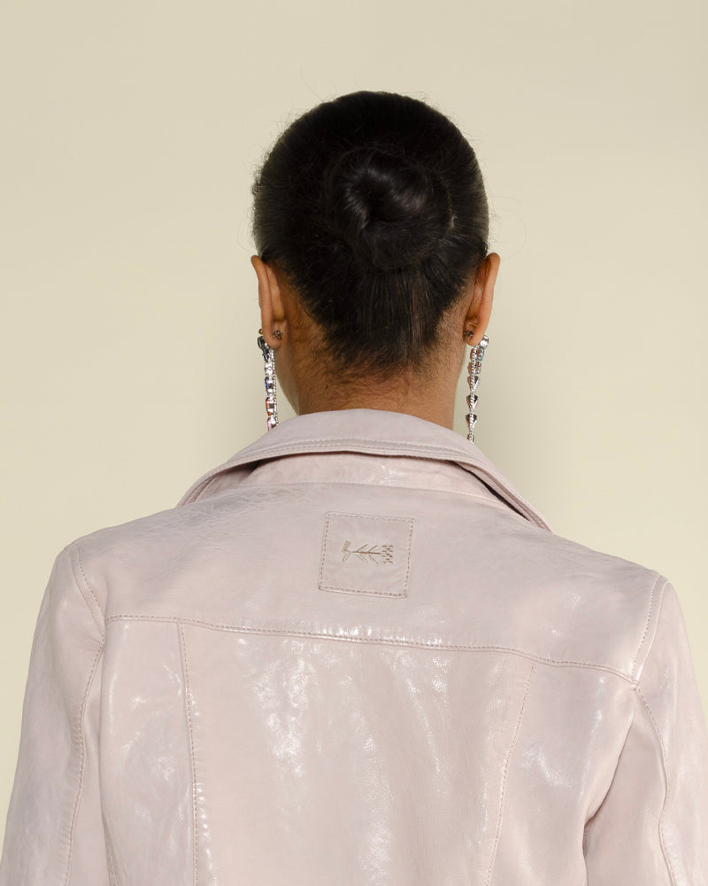 Perfecto rose garden