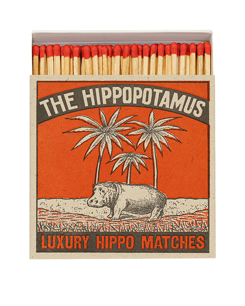 Boite allumettes hippopotamus archivist