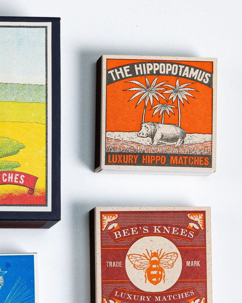 Boite allumettes hippopotamus archivist