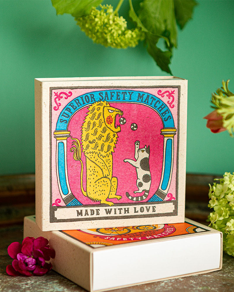 Boite allumettes big cat little cat archivist