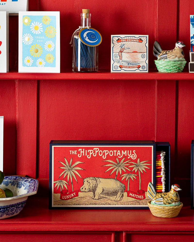 Boite allumettes hippopotamus archivist