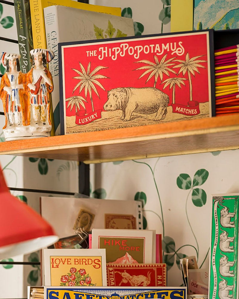 Boite allumettes hippopotamus archivist