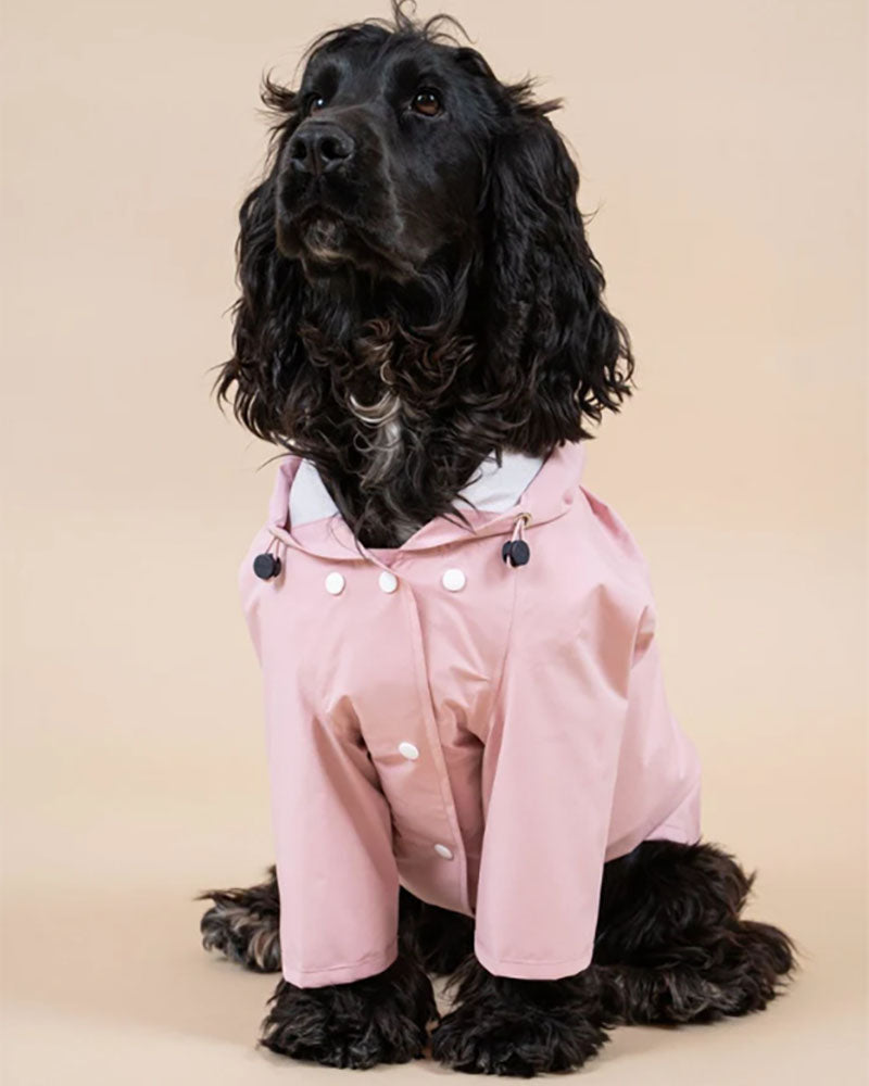 Imperméables FLOTTE - Impermeable chien flotte