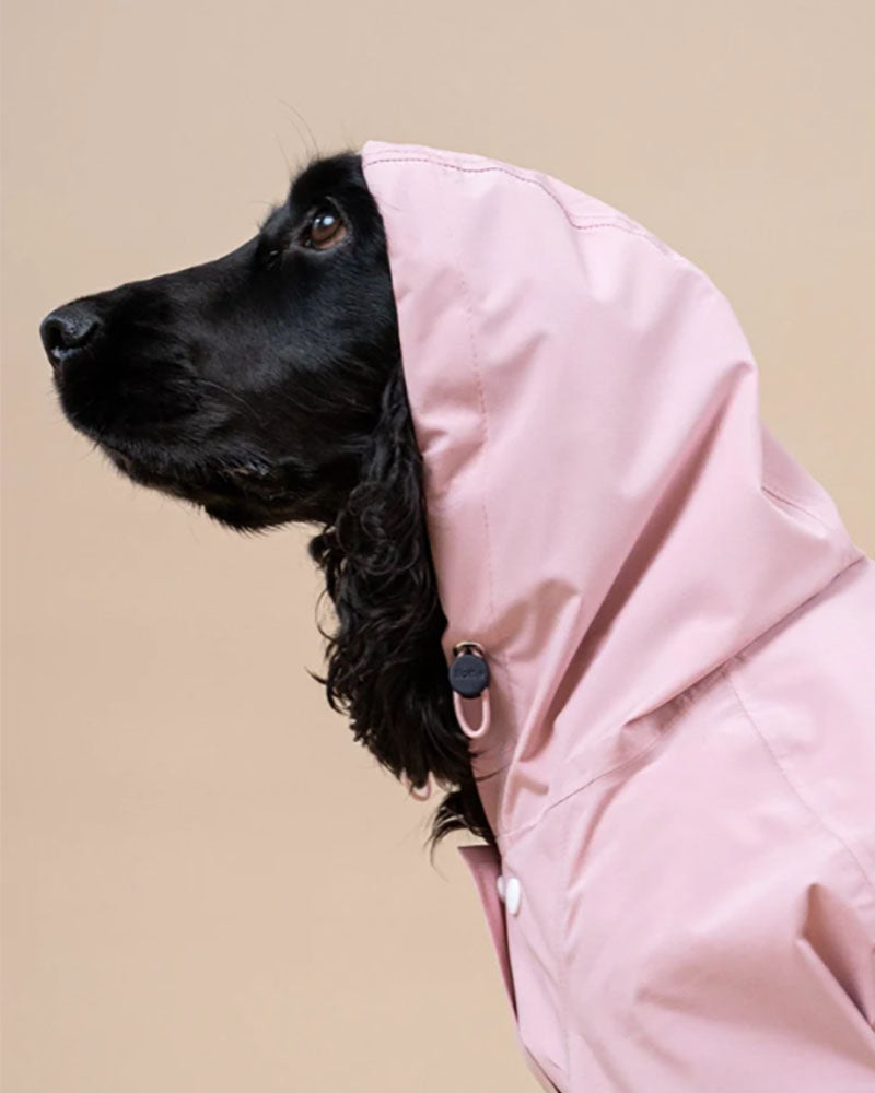 Imperméables FLOTTE - Impermeable chien flotte