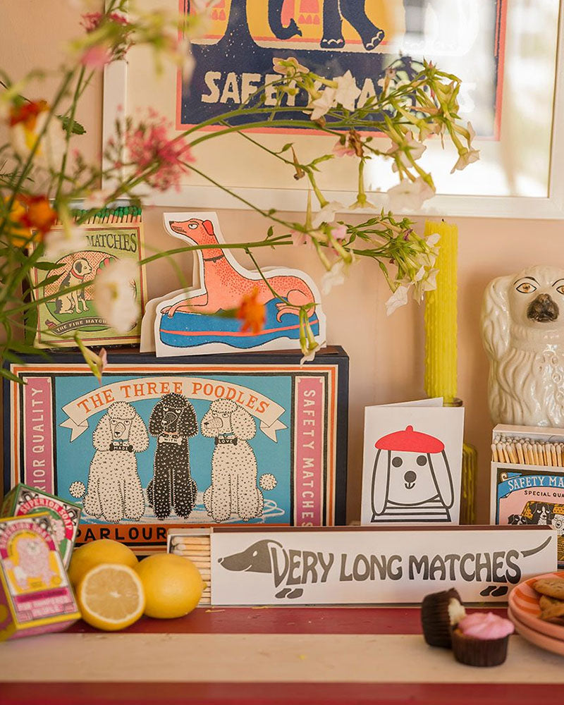 Boite allumettes dachsund archivist