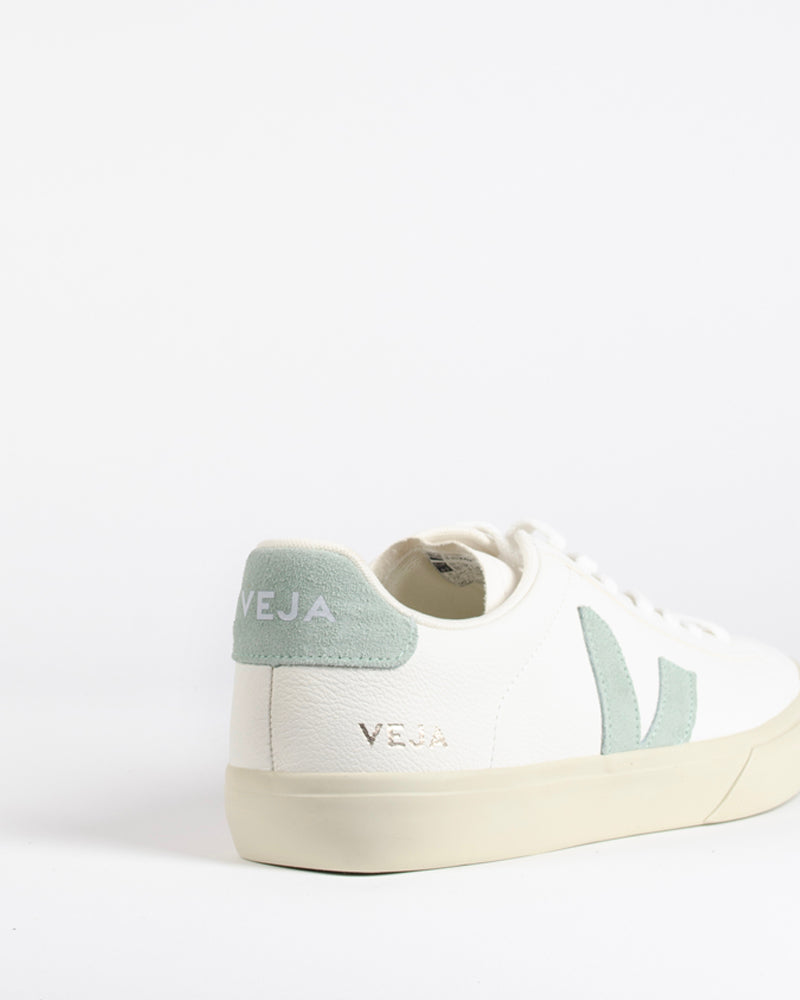 Baskets veja