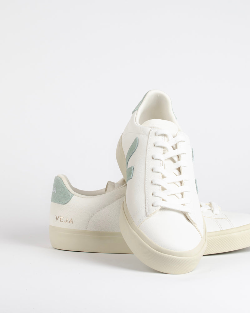 Baskets veja