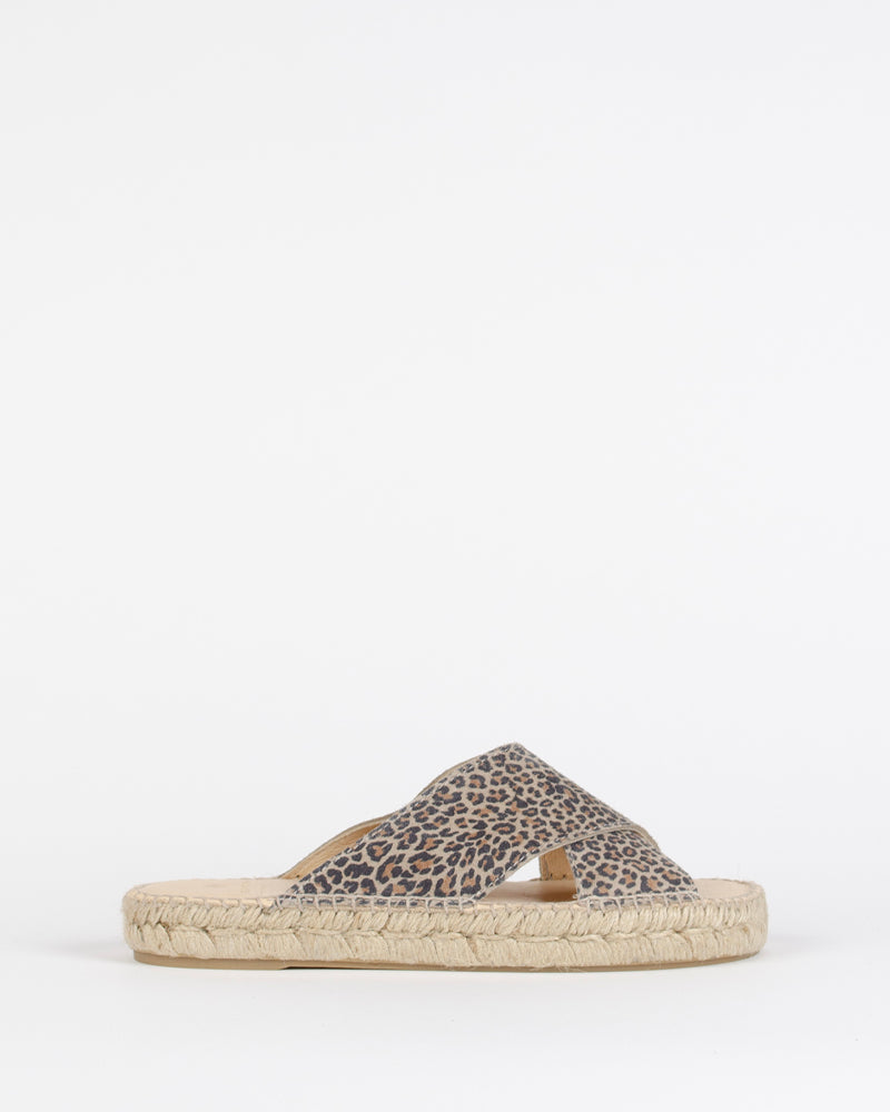 Mule croisee bayona