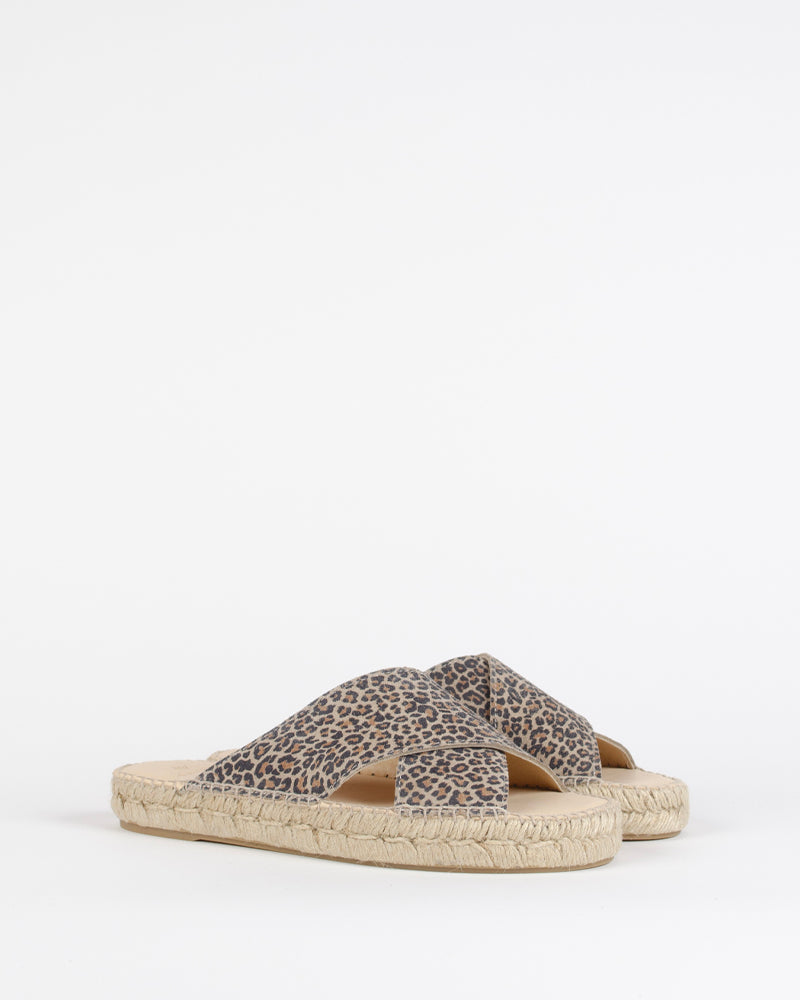 Mule croisee bayona