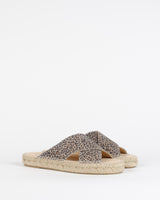 Mule croisee bayona