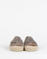 Mule croisee bayona