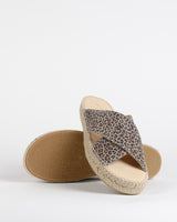 Mule croisee bayona