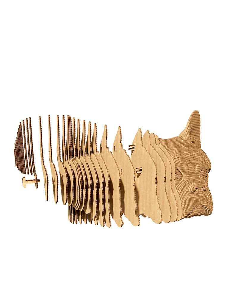 Puzzle bulldog cartonic