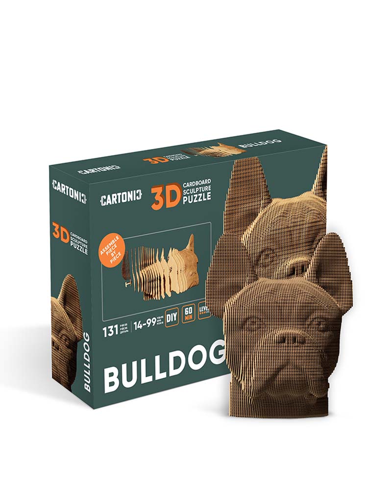Puzzle bulldog cartonic