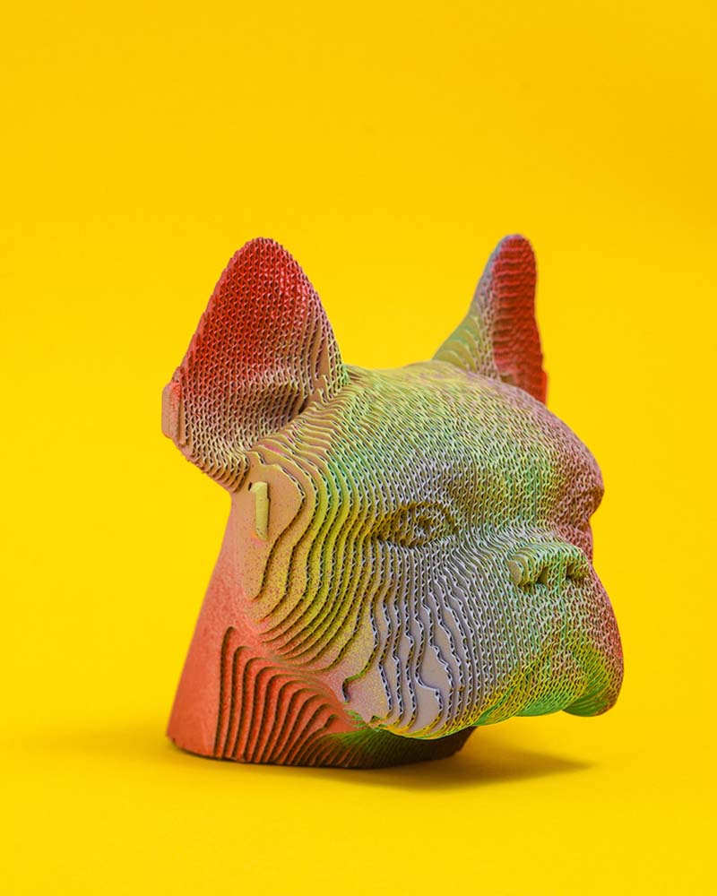 Puzzle bulldog cartonic