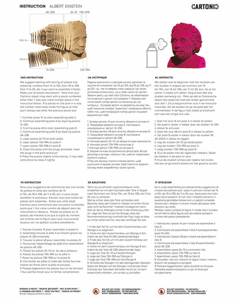 Puzzle albert einstein cartonic