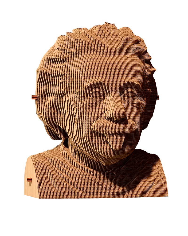 Puzzle albert einstein cartonic
