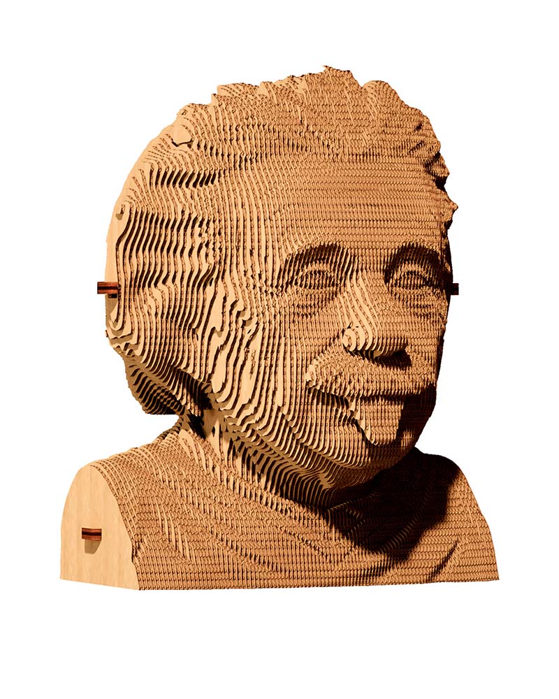 Puzzle albert einstein cartonic