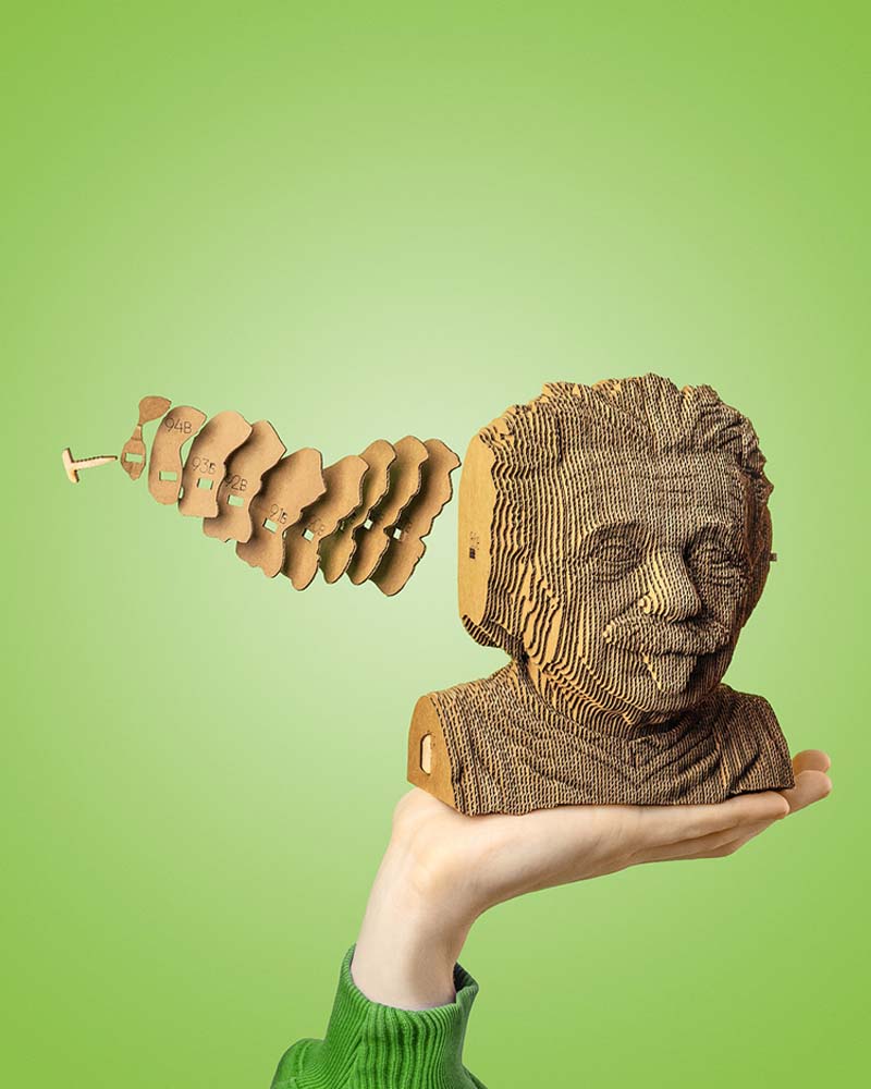 Puzzles CARTONIC - Puzzle albert einstein cartonic