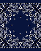Echarpes & Foulards DESTIN - Foulard destin