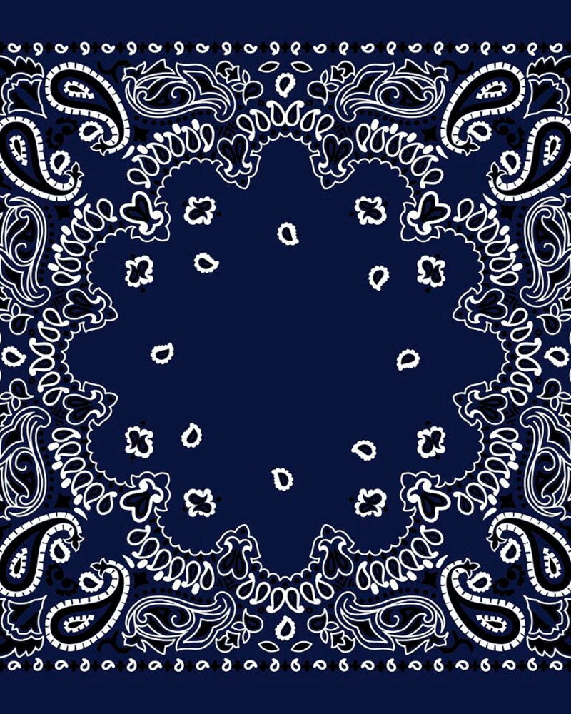 Echarpes &amp; Foulards DESTIN - Foulard destin