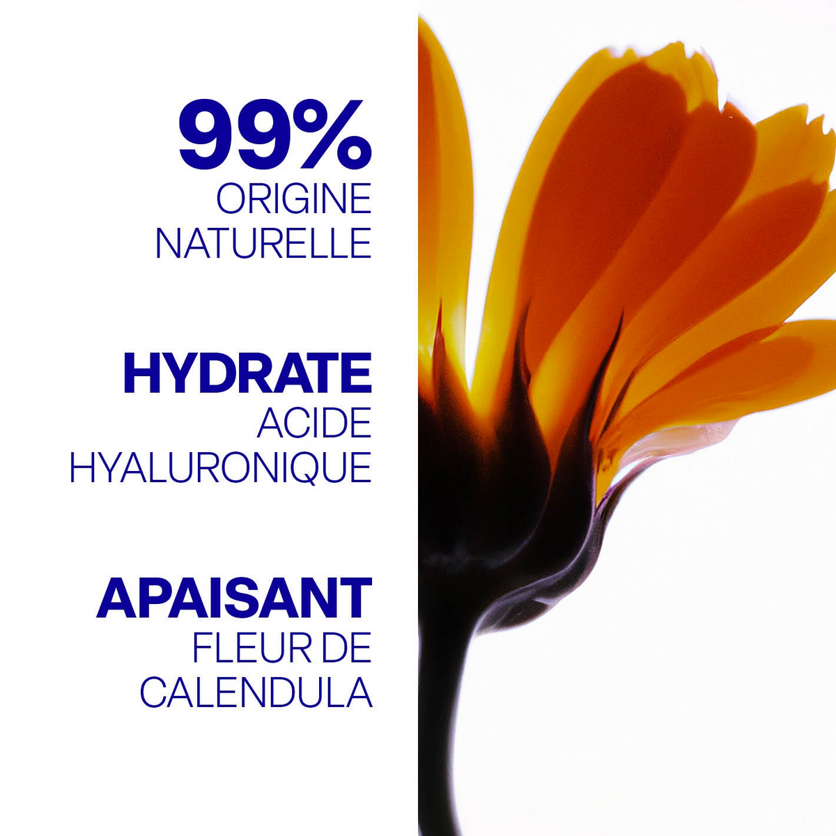 Fard a paupiere liquide 02