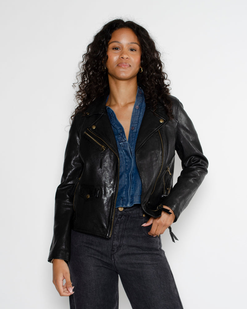 Perfecto rose garden