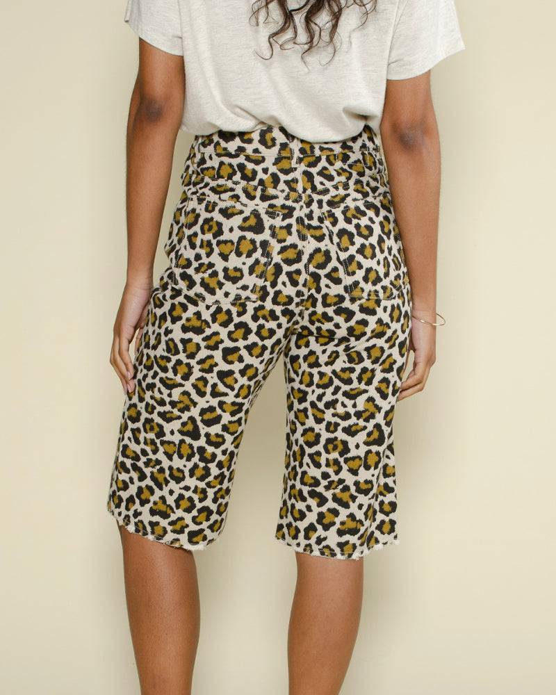 Bermuda leon et harper