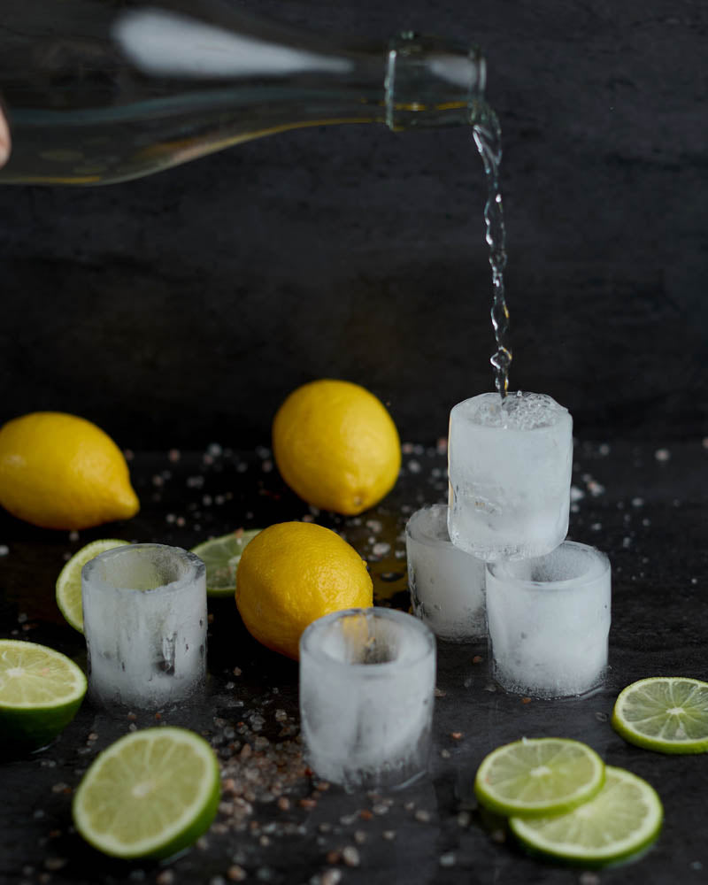 Moule a glacons gentlemens hardware