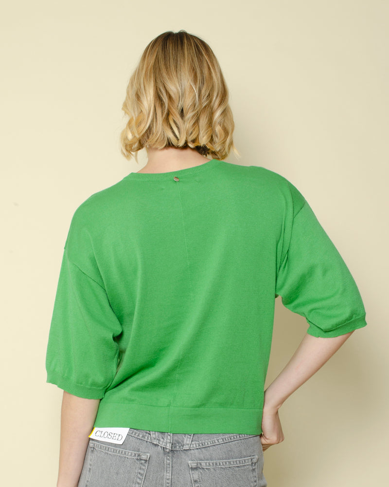 Pull a poil