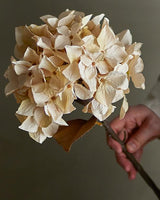 Fleur artificiel hortensia