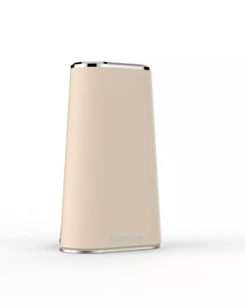 Steamer de voyage steamone