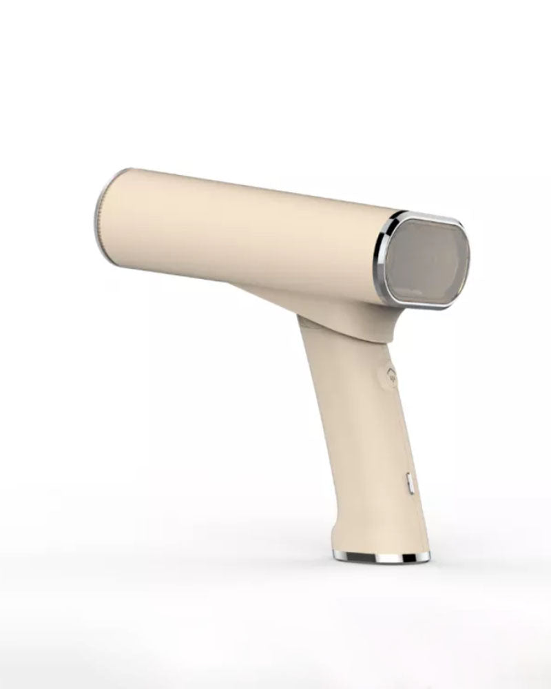 Steamer de voyage steamone