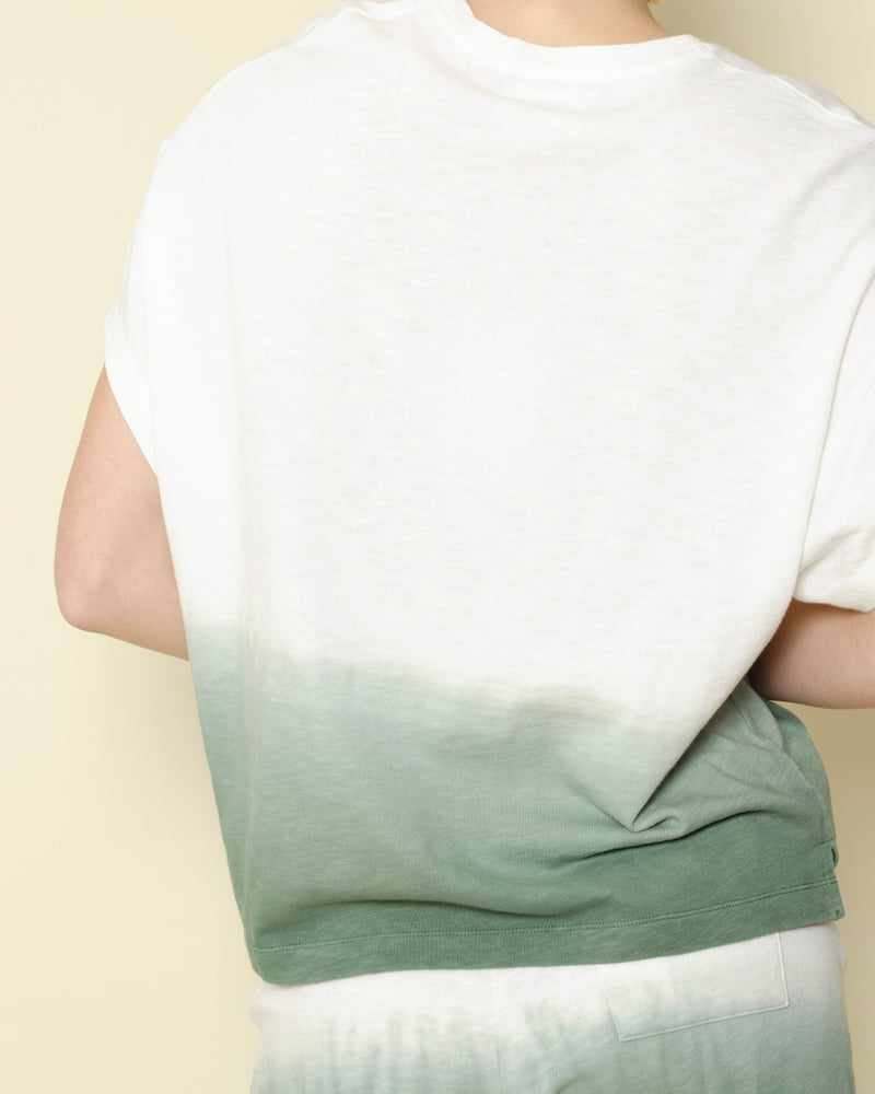 Tee shirt notshy