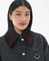 Veste catton