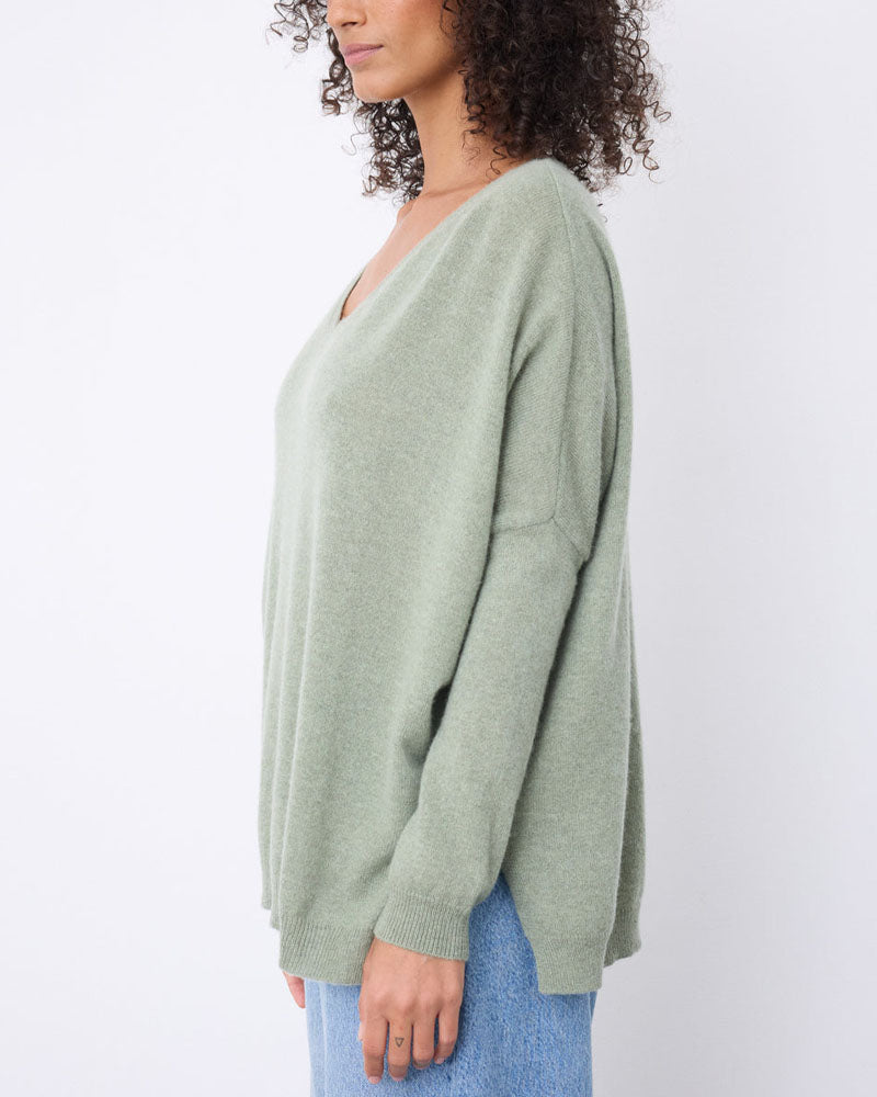 Pull notshy