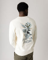 Sweat mos gallery