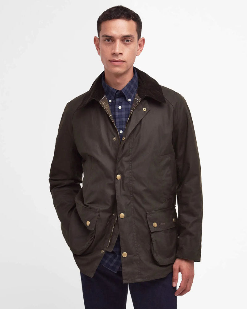 Veste ashby
