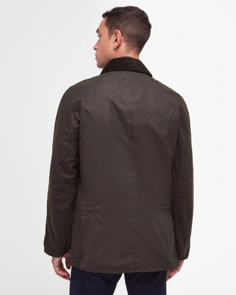 Veste ashby