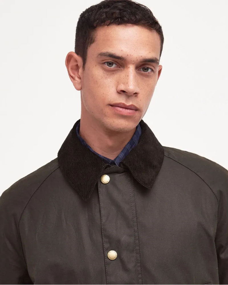 Veste ashby