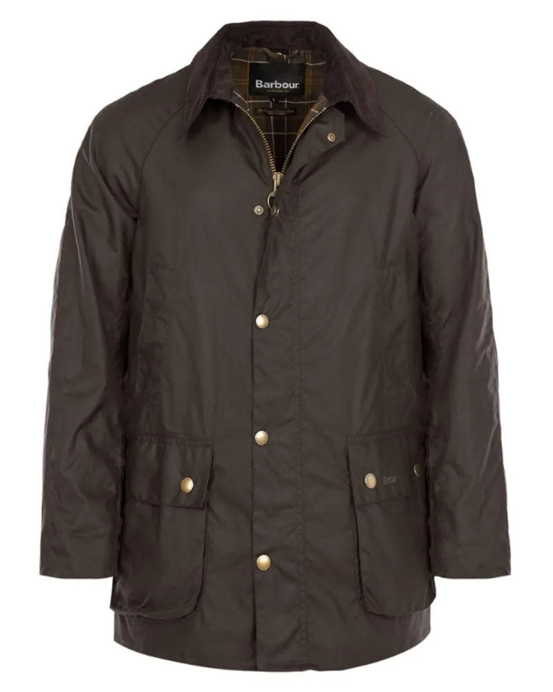Veste ashby