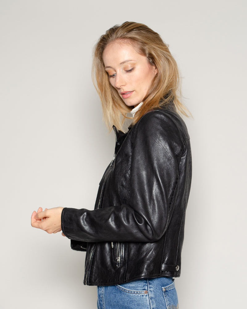 Perfecto rose garden