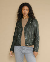 Blouson rose garden