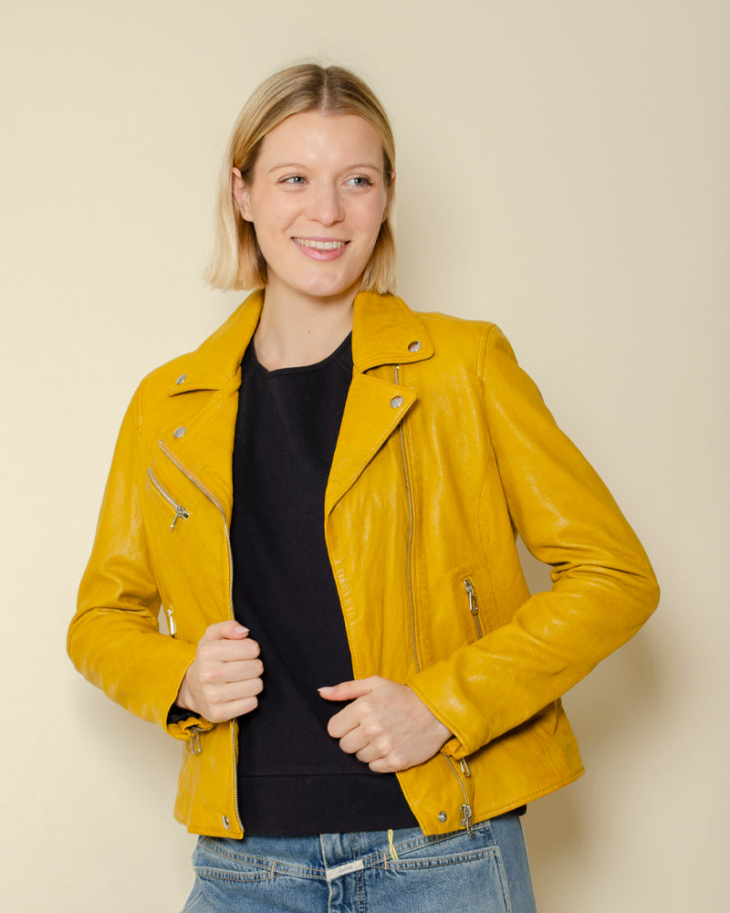 Perfecto rose garden