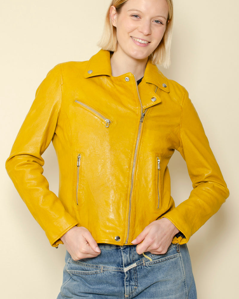 Perfecto rose garden