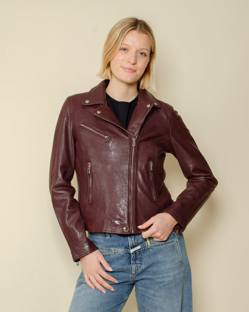 Perfecto rose garden