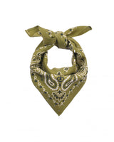Foulard 45x45 wild