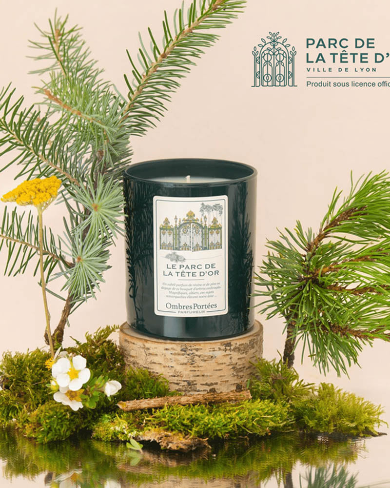 Bougie ombre portees