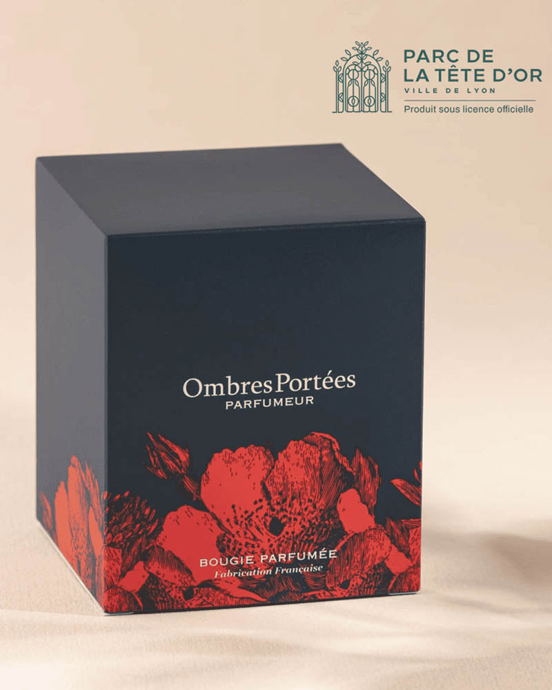 Bougie ombre portees